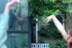 可爱小姐姐超甜舞蹈视频,小姐姐惊艳演绎超甜舞蹈，萌化你的心